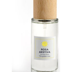 Rosa Aestiva