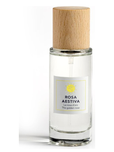 Rosa Aestiva