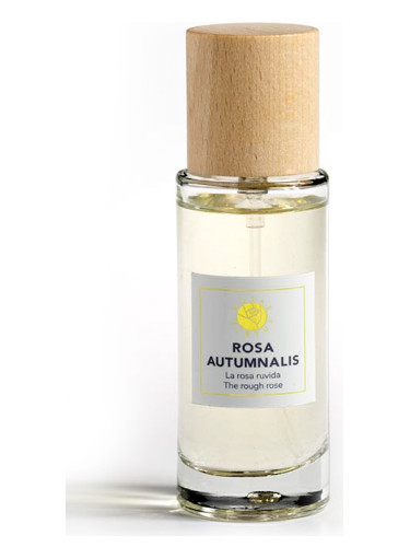 Rosa Autumnalis