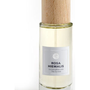 Rosa Hiemalis
