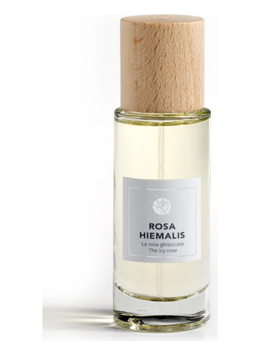 Rosa Hiemalis